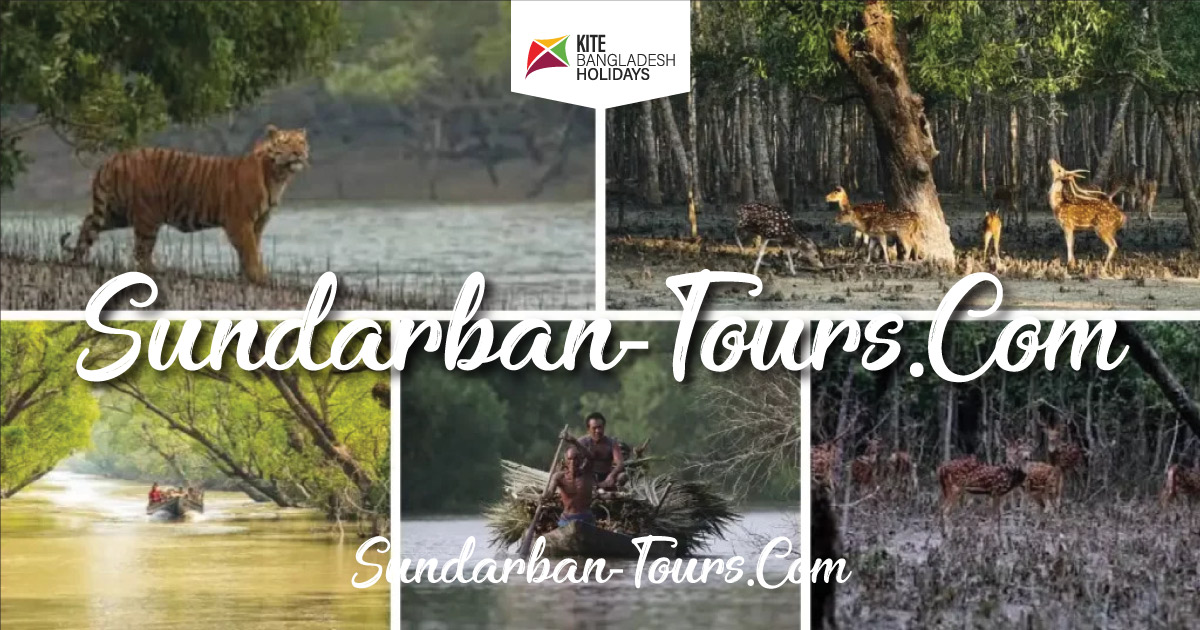 Explore the Lungs of Bangladesh the SUNDARBAN