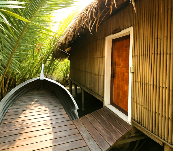 Bonobibi Forest Resort